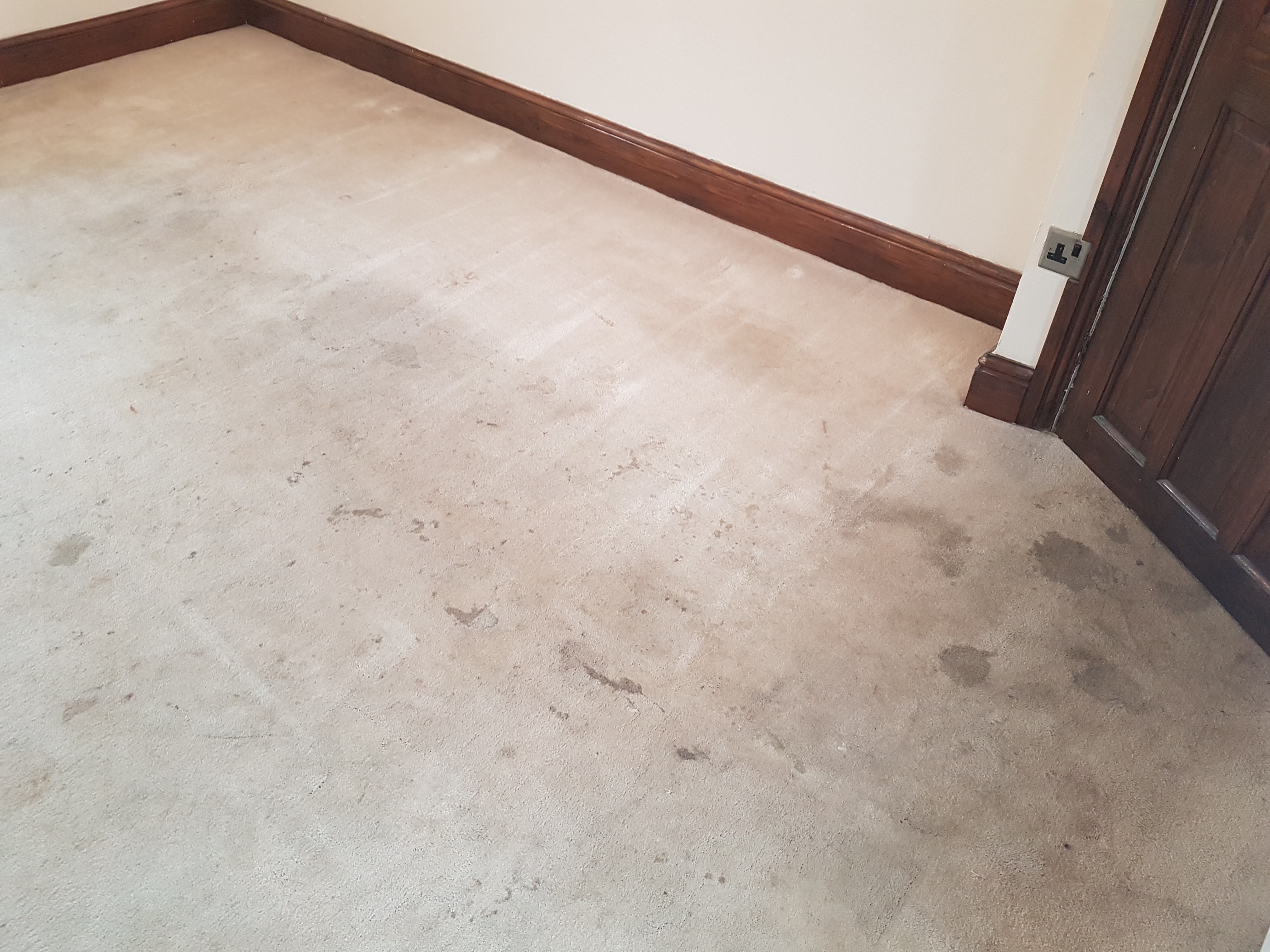 How often should I clean my carpets Doncaster Carpet Cleaners
