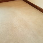 How often should I clean my carpets