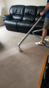 Local Carpet Cleaners in Doncaster