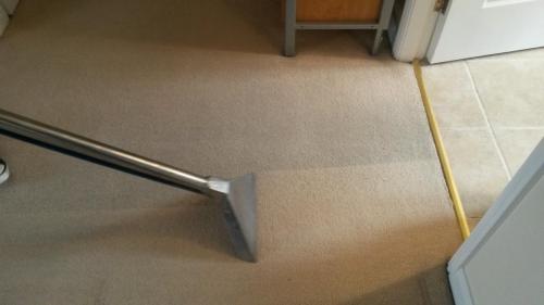 carpet stain removal doncaster