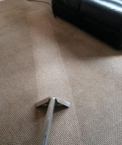 dirty carpets cleaning doncaster
